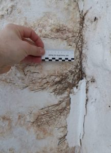 Sachverstand für Schäden an Gebäuden